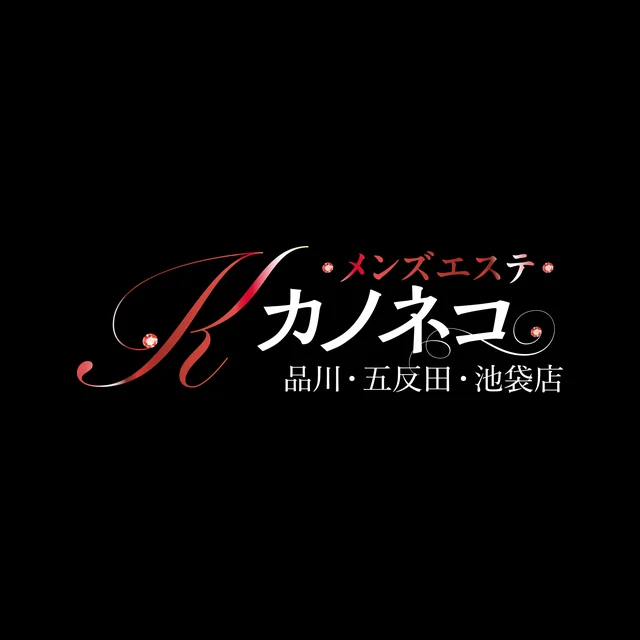 カノネコ