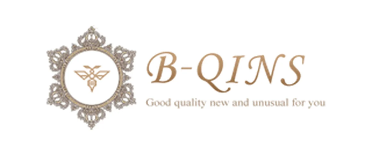 B-Qins