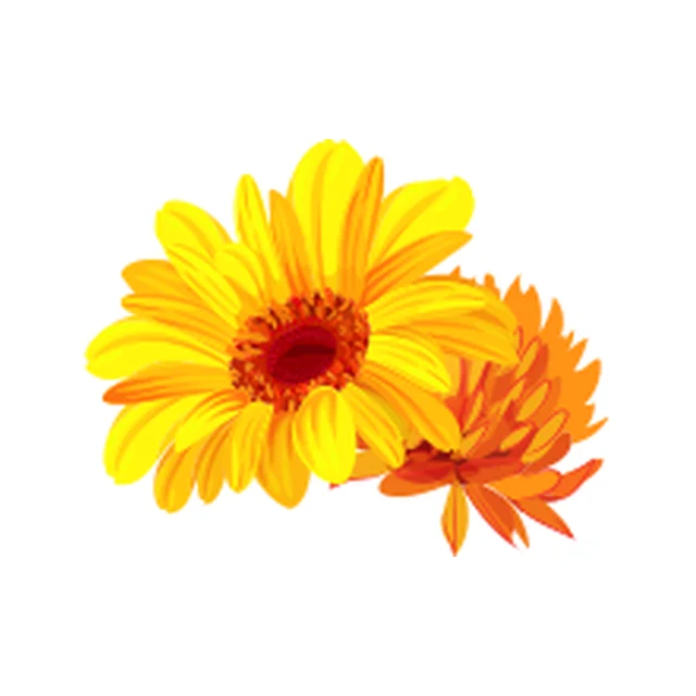 Marigold
