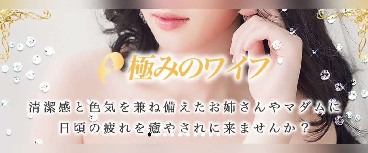 極みのワイフ